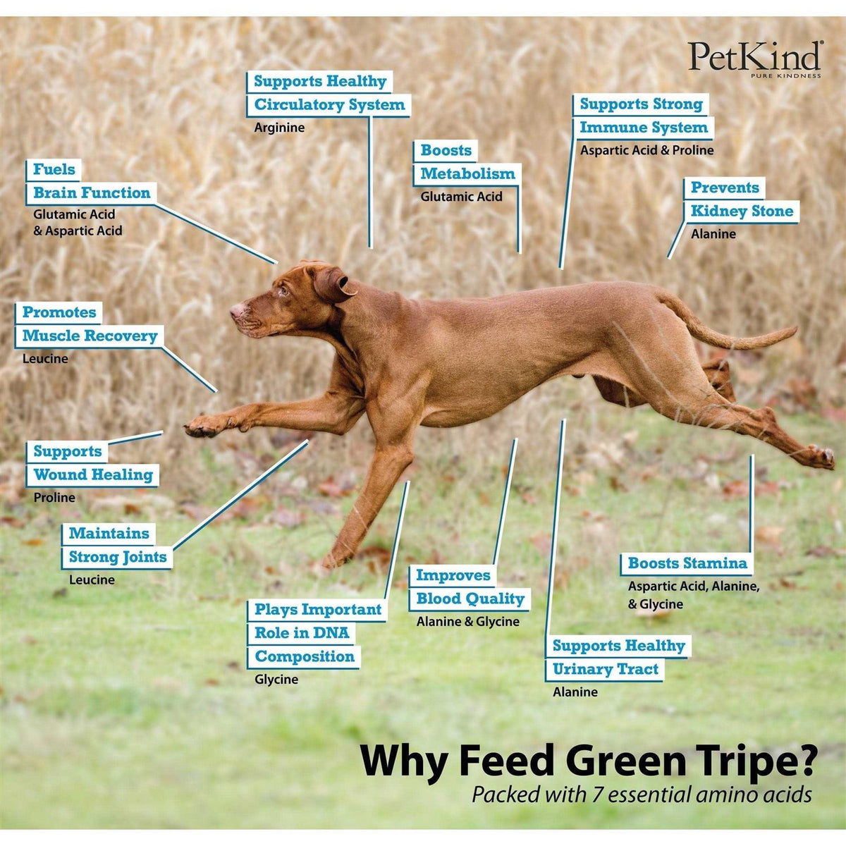 Beef Tripe Formula Dry Dog Food K514