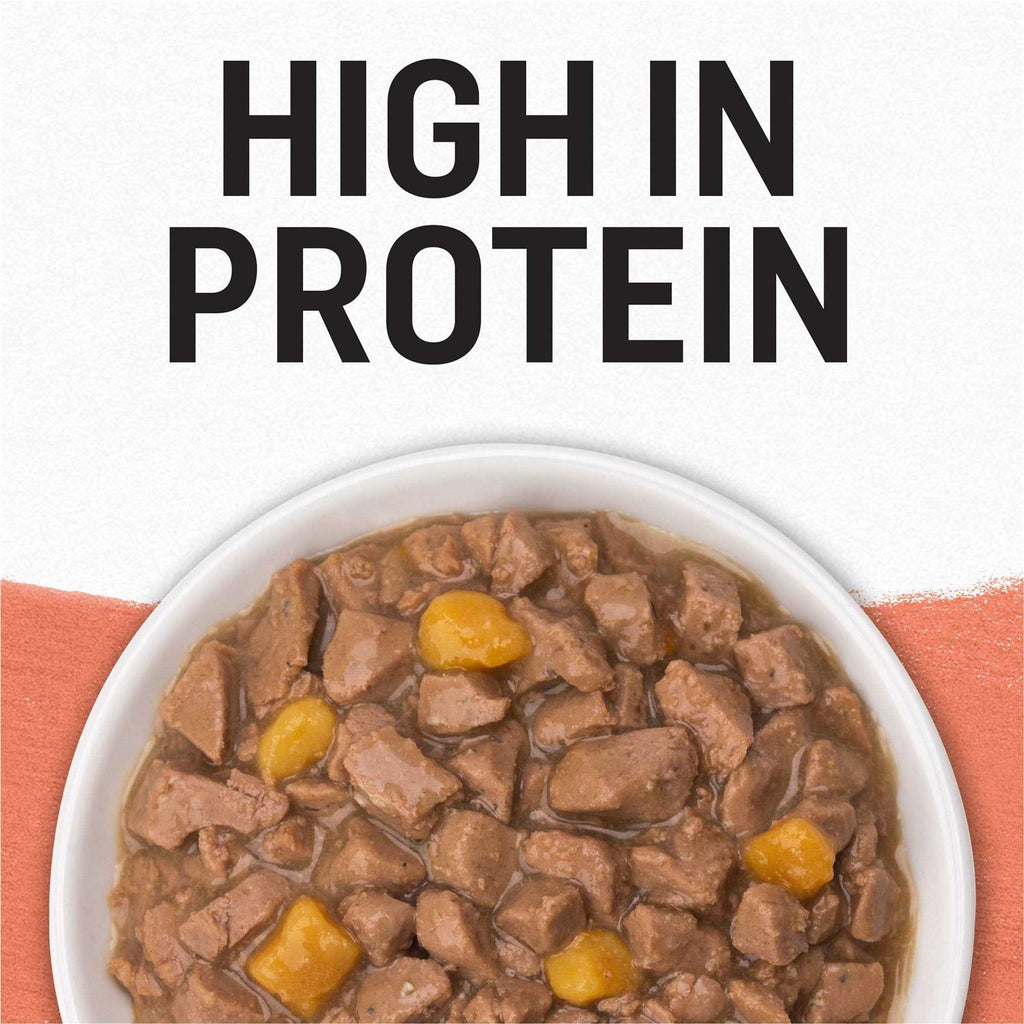 Grain Free Salmon & Sweet Potato Cat Food Y711431