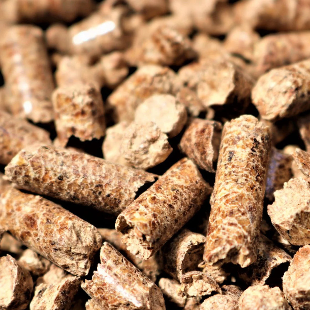 All Natural Hardwood Oak BBQ Smoker Pellets, 20 lbs (2 Pack) F20518