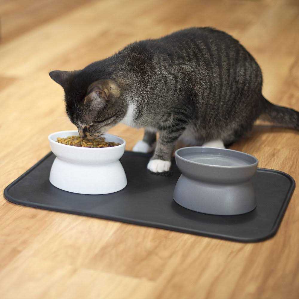 Raised Cat Food Bowl T337