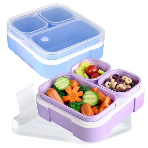 2 Pack 3-Compartment Bento Box H279
