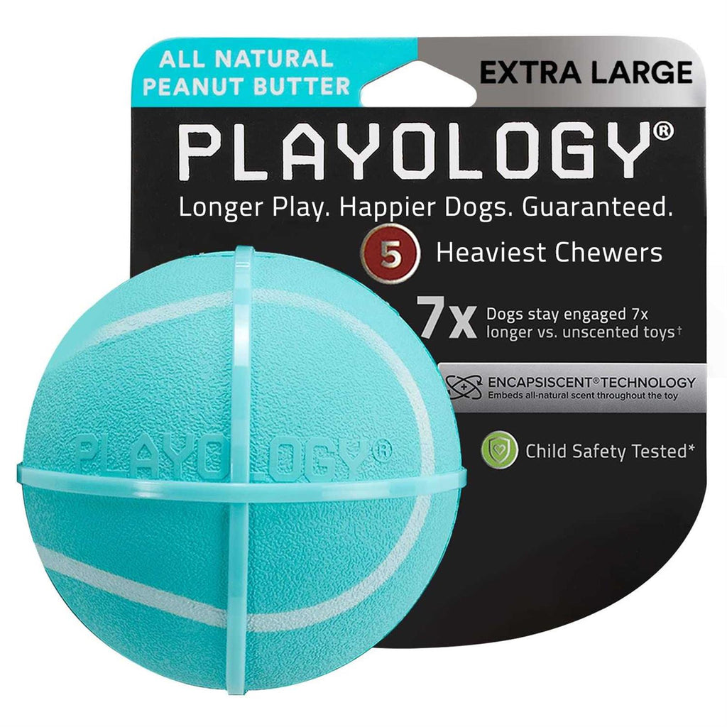 Squeaky Chew Ball Dog Toy N648354