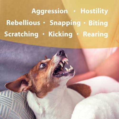 Flower Essences Pet Supplies R11321