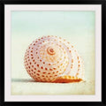 Photographic Print Black Frame 38x22 U26677