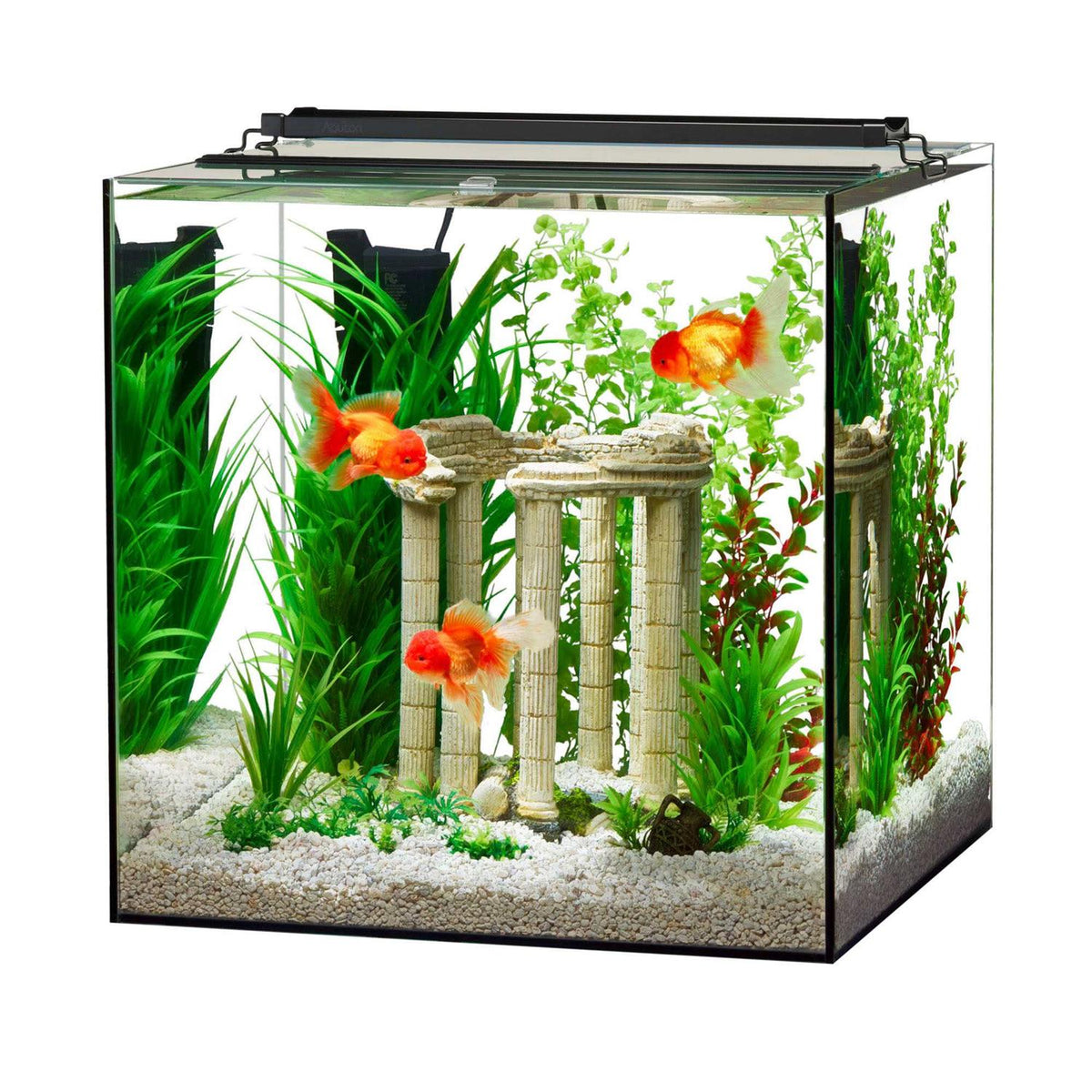 Frameless Cube Aquarium E555