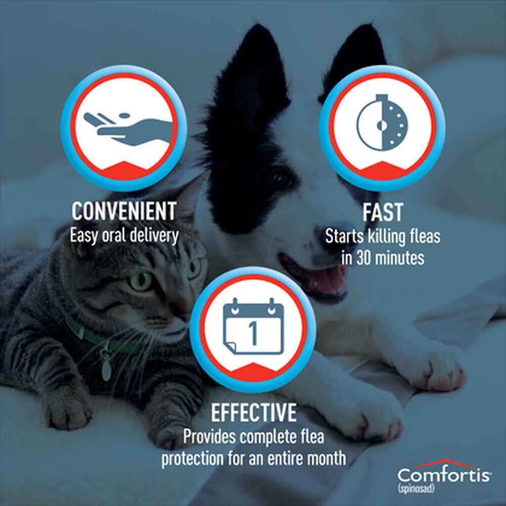 Chewable Tablets for Dogs & Cats Q77589