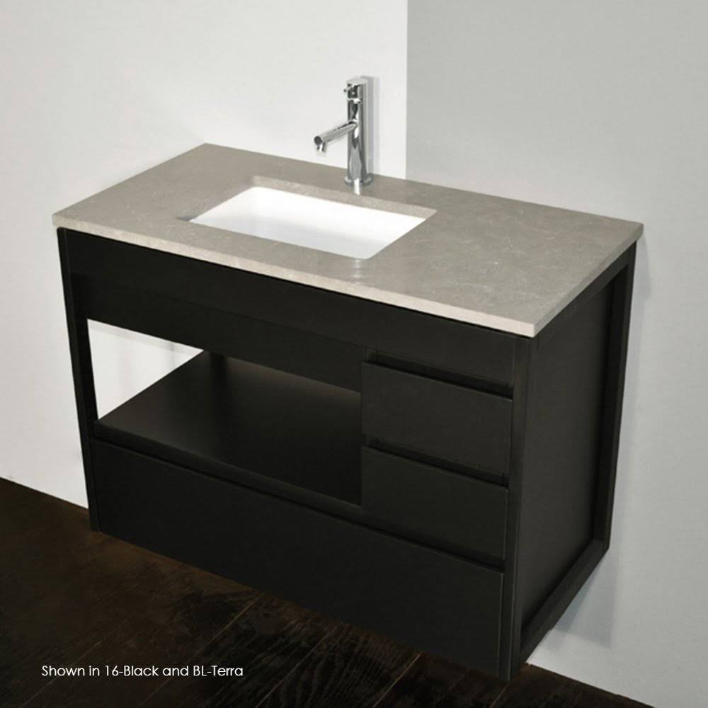 Stone Countertop with Cut-Out for Lavatory D4968