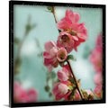 Photographic Print Canvas U21476