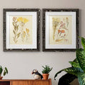 Framed Print N852