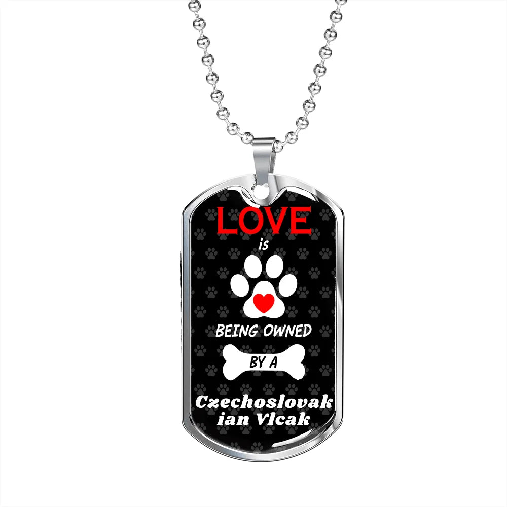 Stainless Steel or 18k Gold Dog Tag 24" Chain G7344