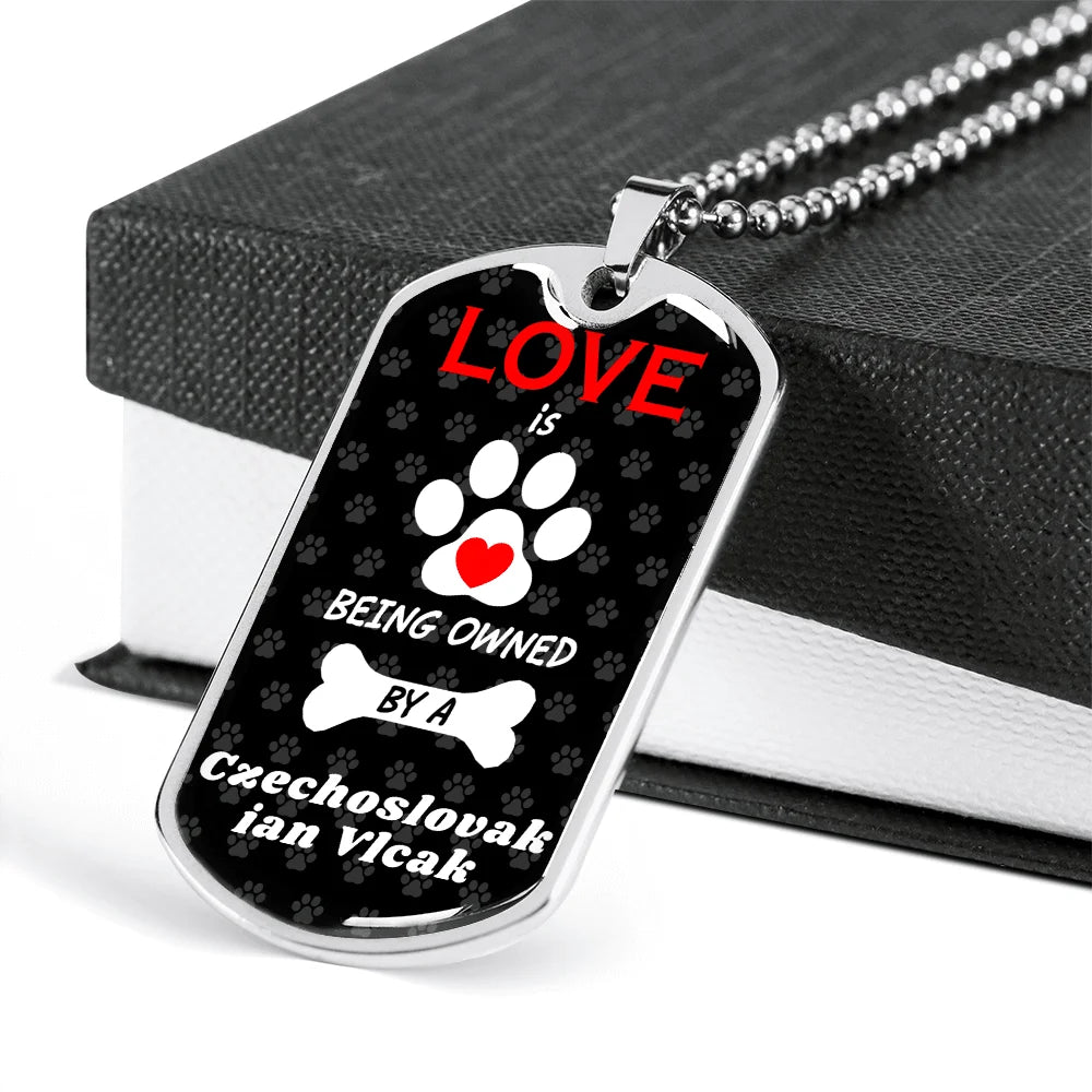 Stainless Steel or 18k Gold Dog Tag 24" Chain G7344