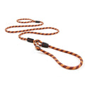 Slip Collar Dog Leash C10377
