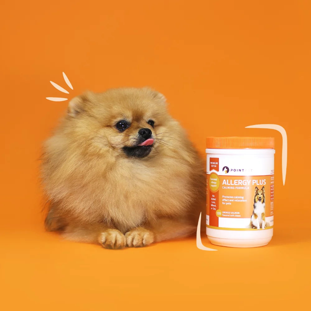 Smoked Salmon Oil Flavor Dog Allergy Calming Treats A500