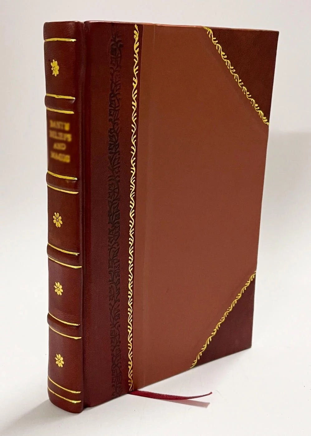 Thesaurus Geographicus Leather Bound C76362