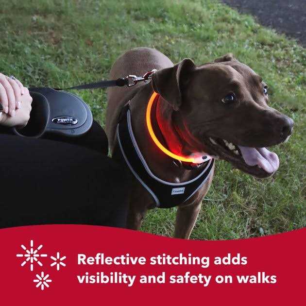 Retractable Dog Leash N967