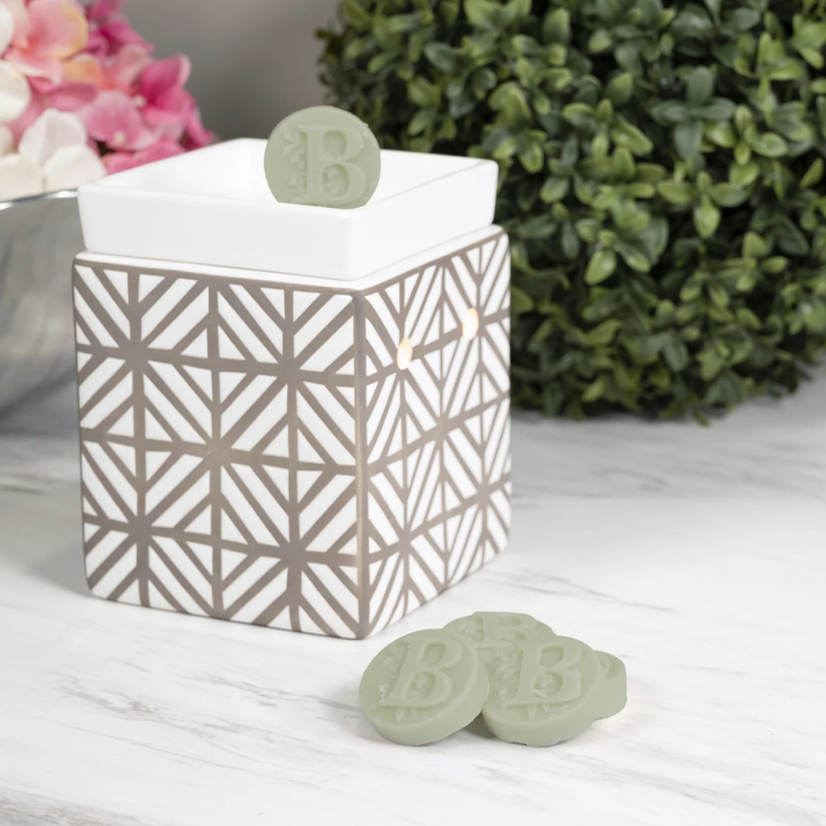 Bergamot & Sage Essential Oil Infused Wax Melts 2.75 oz B60823
