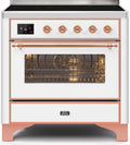 36 Induction Range with Electric Oven X62374