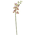 29in. Phalaenopsis Orchid Artificial Flower Set of 4 N19192