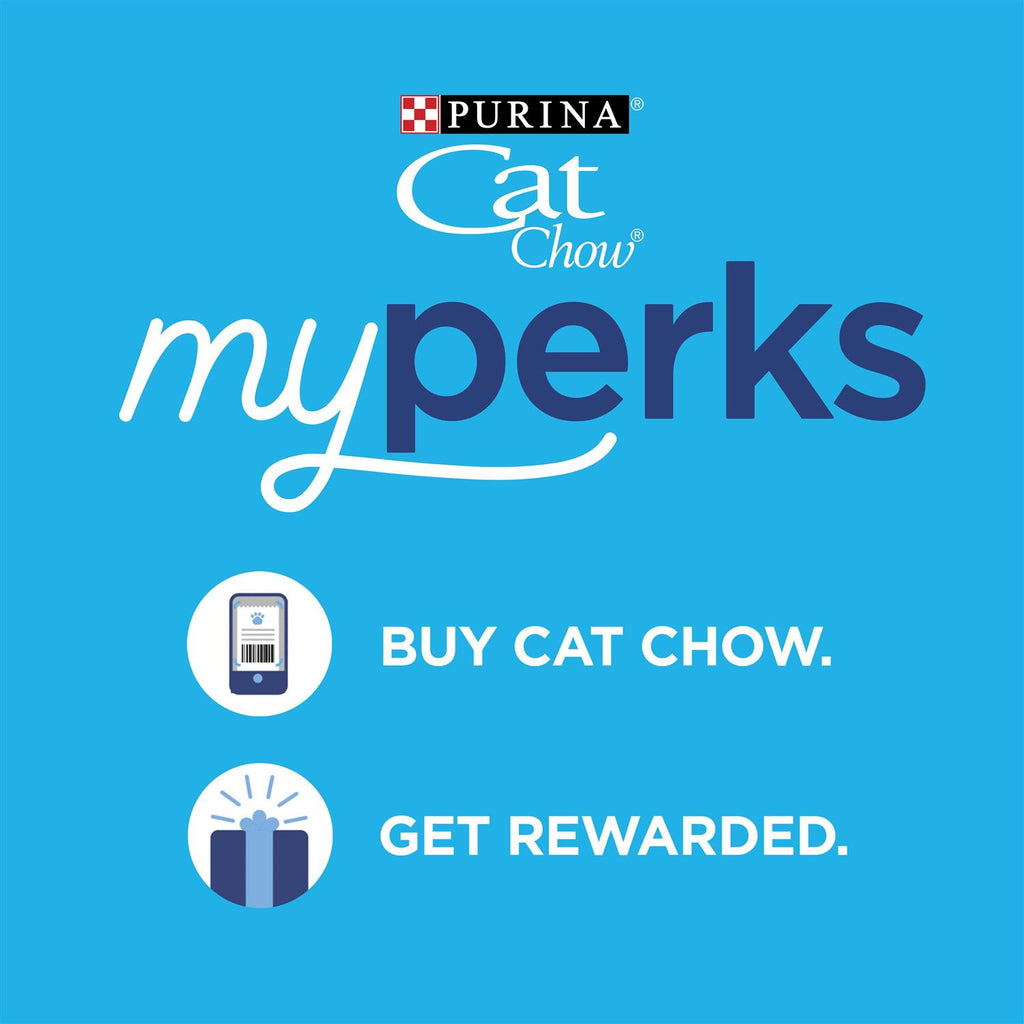 Dry Cat Food P2843
