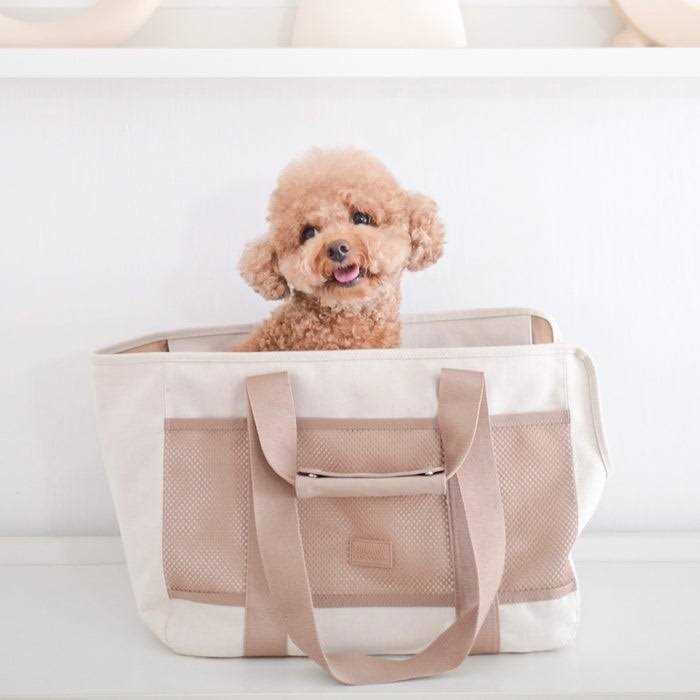 Canvas Lightweight Water Resistant Pet Carrier F991982