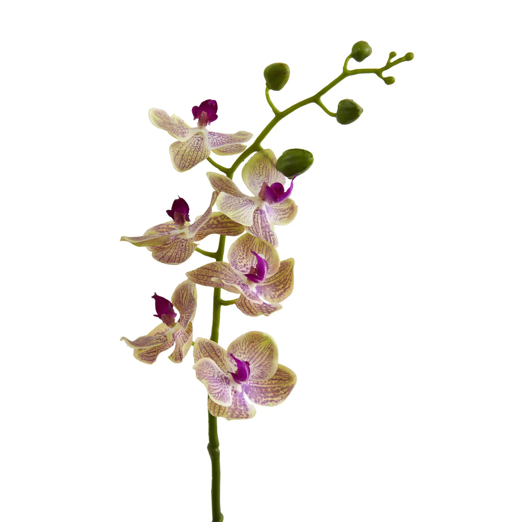 29in. Phalaenopsis Orchid Artificial Flower Set of 4 N19192