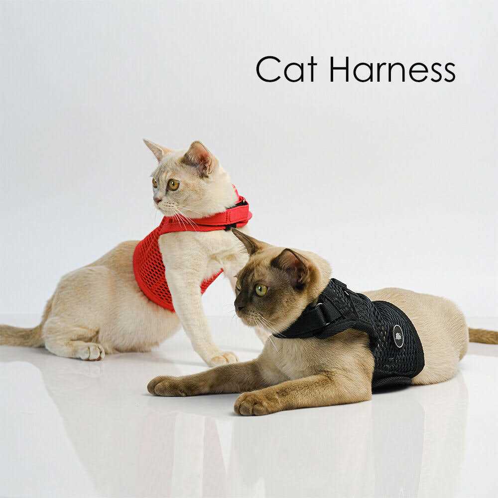 Martingale Cat Harness M6792