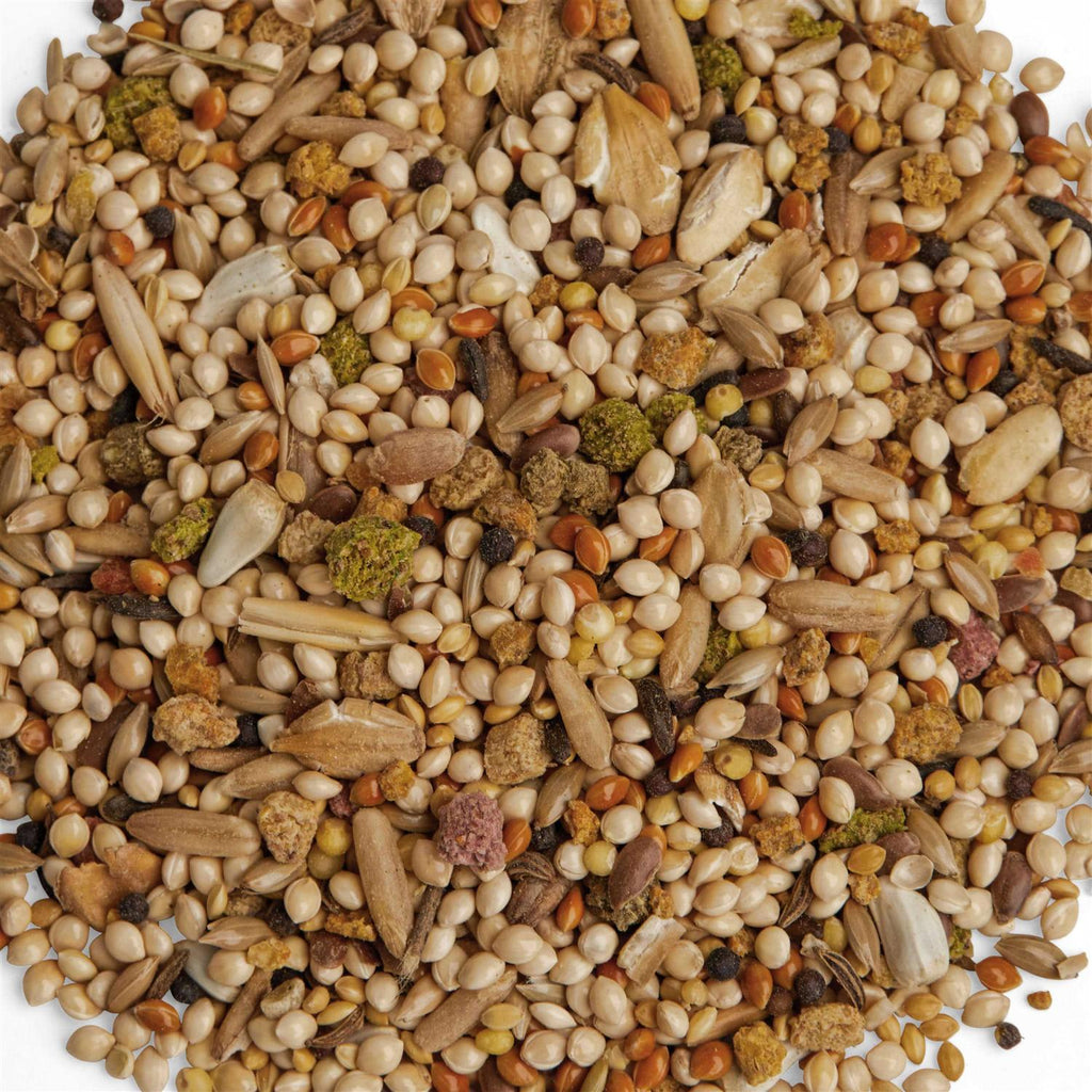 Parakeet Diet D7605