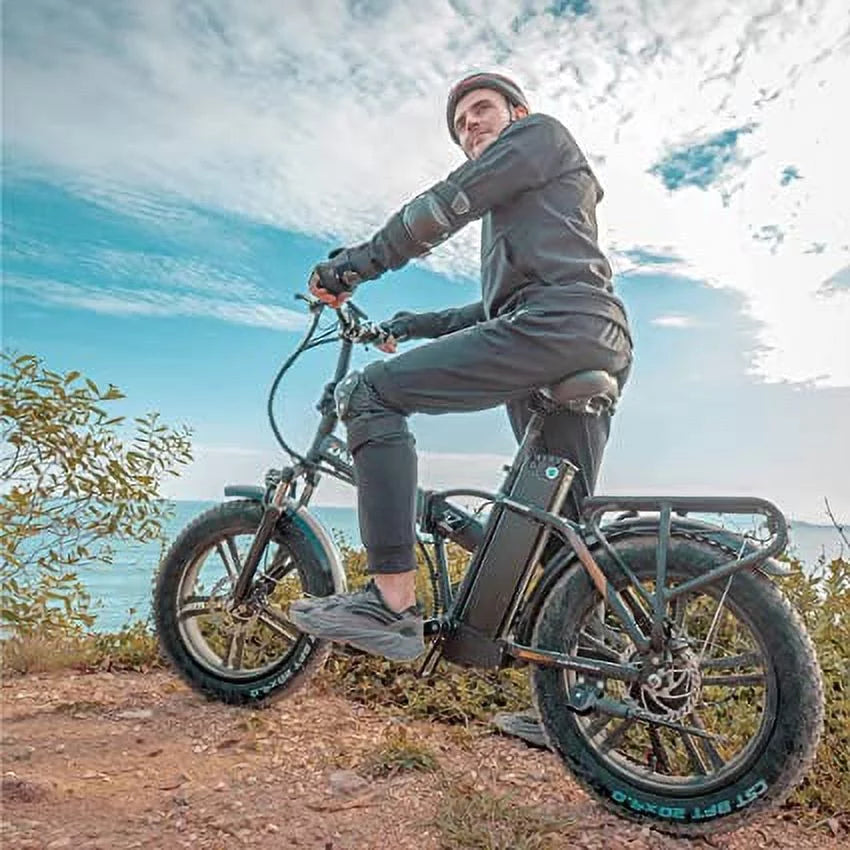 20 Fat Tire Folding Electric Bicycle 750W Motor 48V 20Ah Battery Black R67543