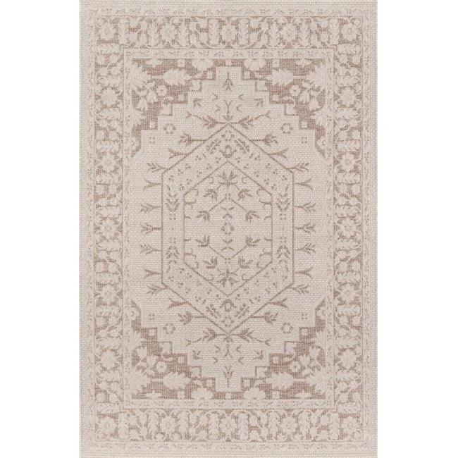 Beige Runner Area Rug S303