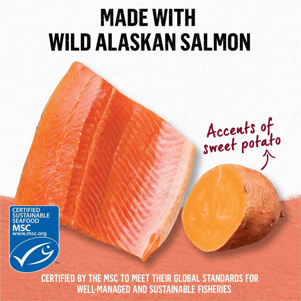 Grain Free Salmon & Sweet Potato Cat Food Y711431