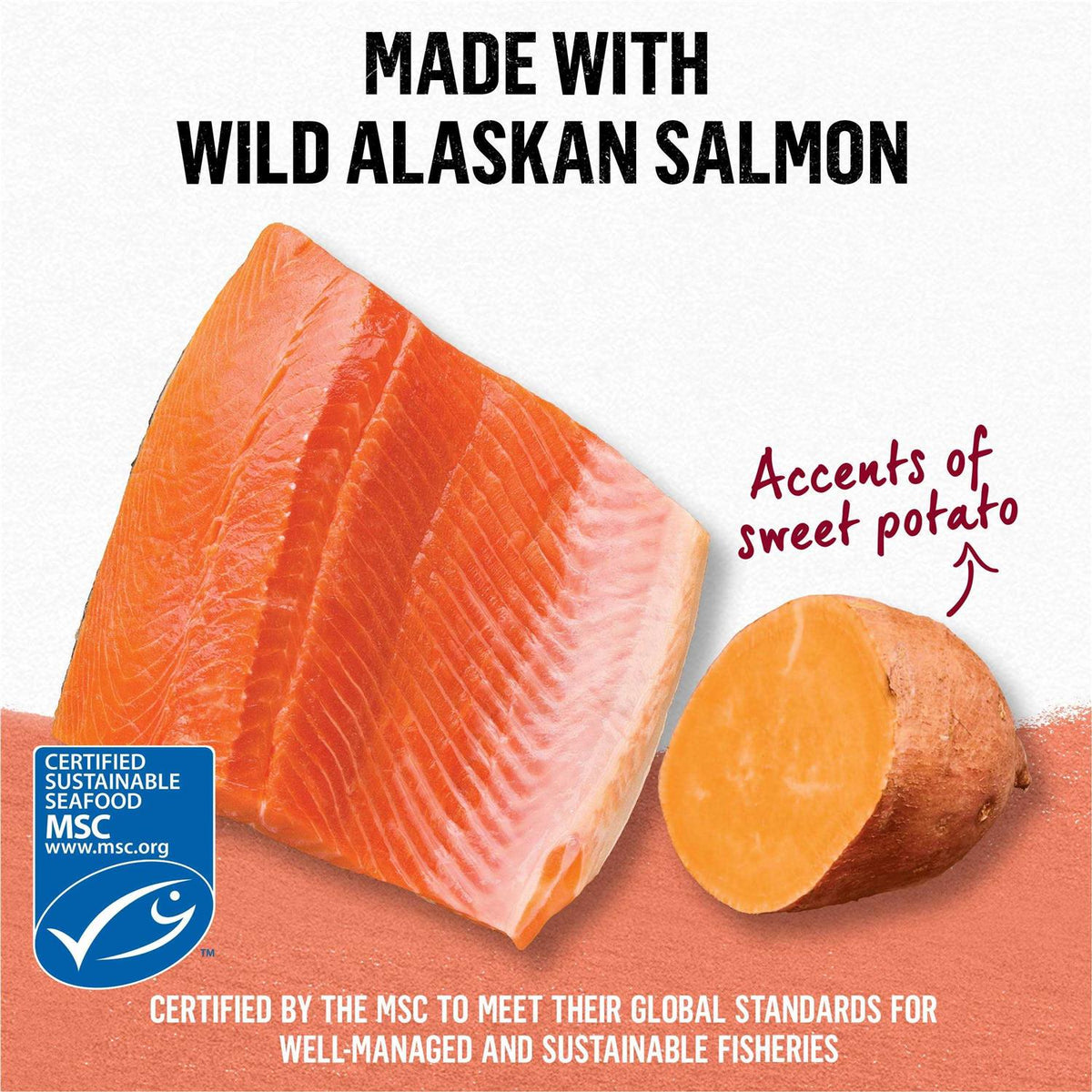 Grain Free Salmon & Sweet Potato Cat Food Y711431