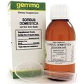 Sorbus domestica 125 ml K378494
