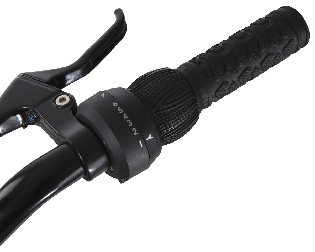26 Mountain Bike A206