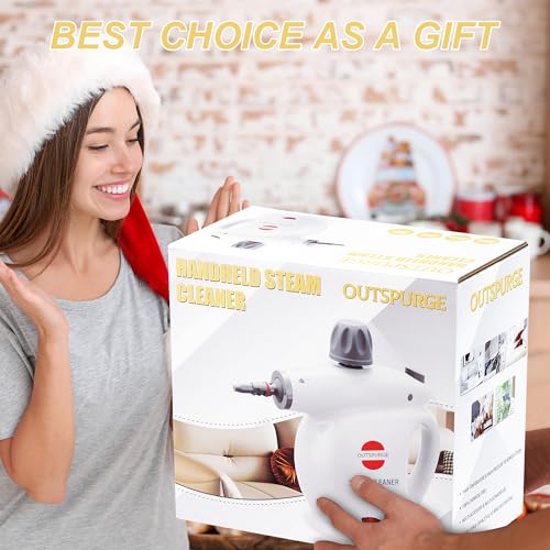 Handheld Pressurized Steam Cleaner with 13 Accessories W640434