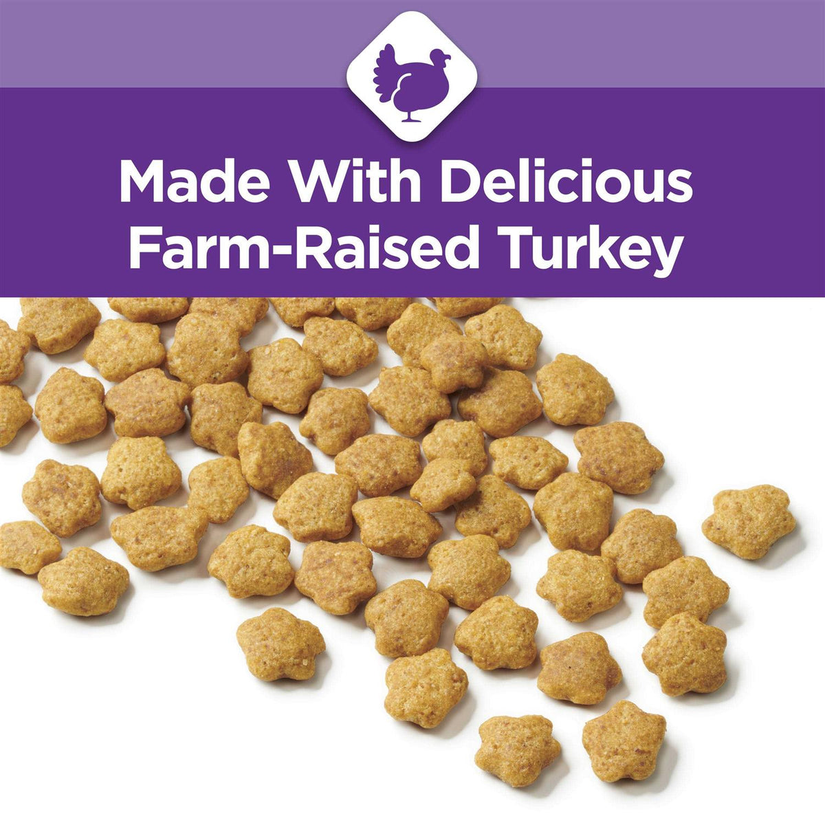 Dry Cat Food P2843