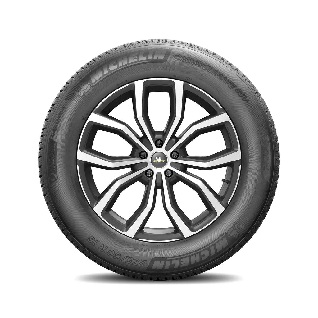 All Weather 235/60R18 107V XL SUV/Crossover Tire R8485