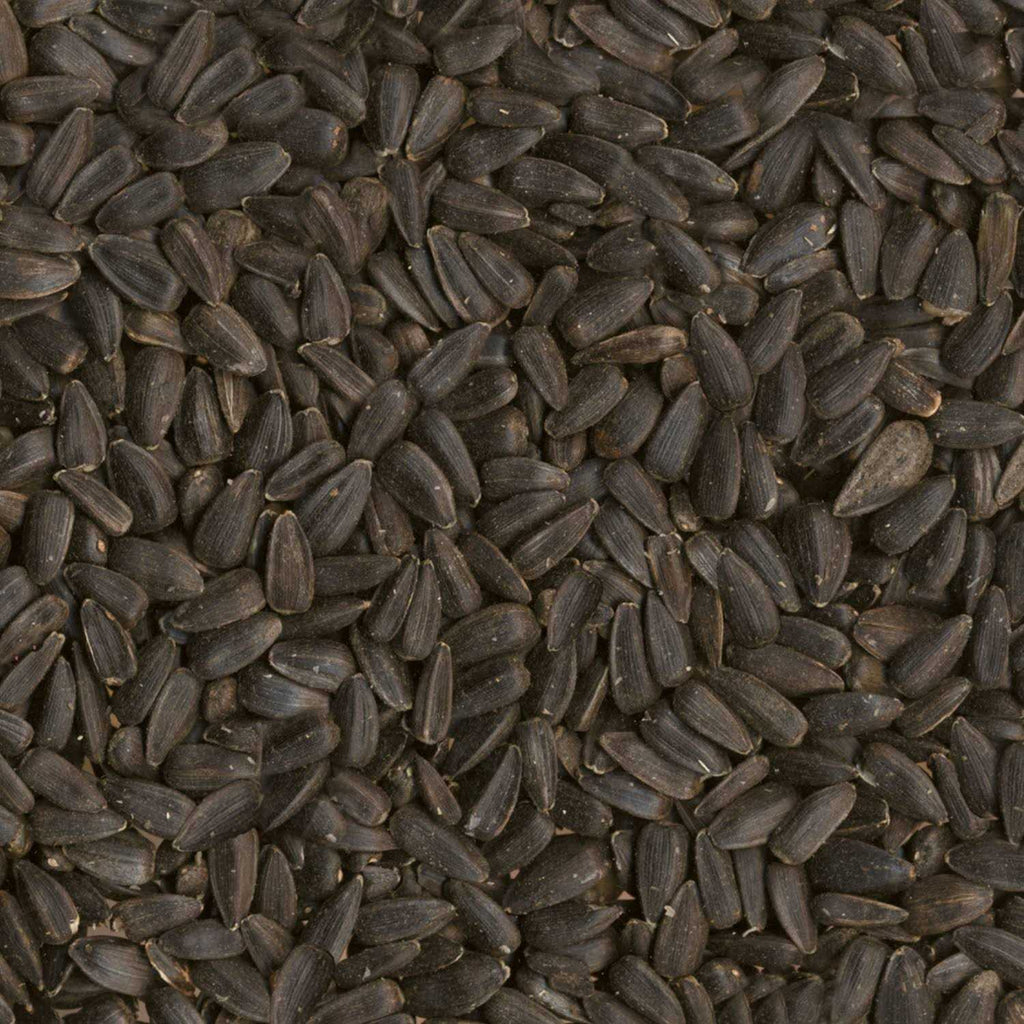 Black Oil Sunflower Seed Wild Bird Food V2111